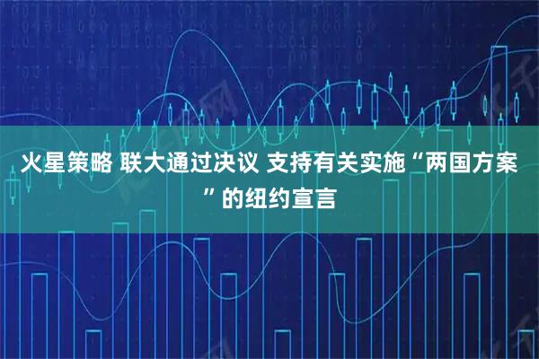 火星策略 联大通过决议 支持有关实施“两国方案”的纽约宣言