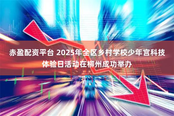 赤盈配资平台 2025年全区乡村学校少年宫科技体验日活动在柳州成功举办