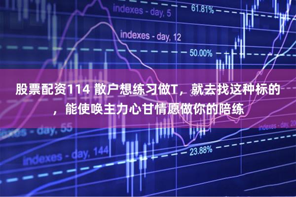 股票配资114 散户想练习做T,就去找这种标的,能使唤主力心甘情愿做你的陪练